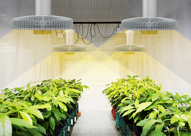 人気を誇る 植物育成灯LED ミラクルパンチー 自家栽培用 超省エネ 高光度LED